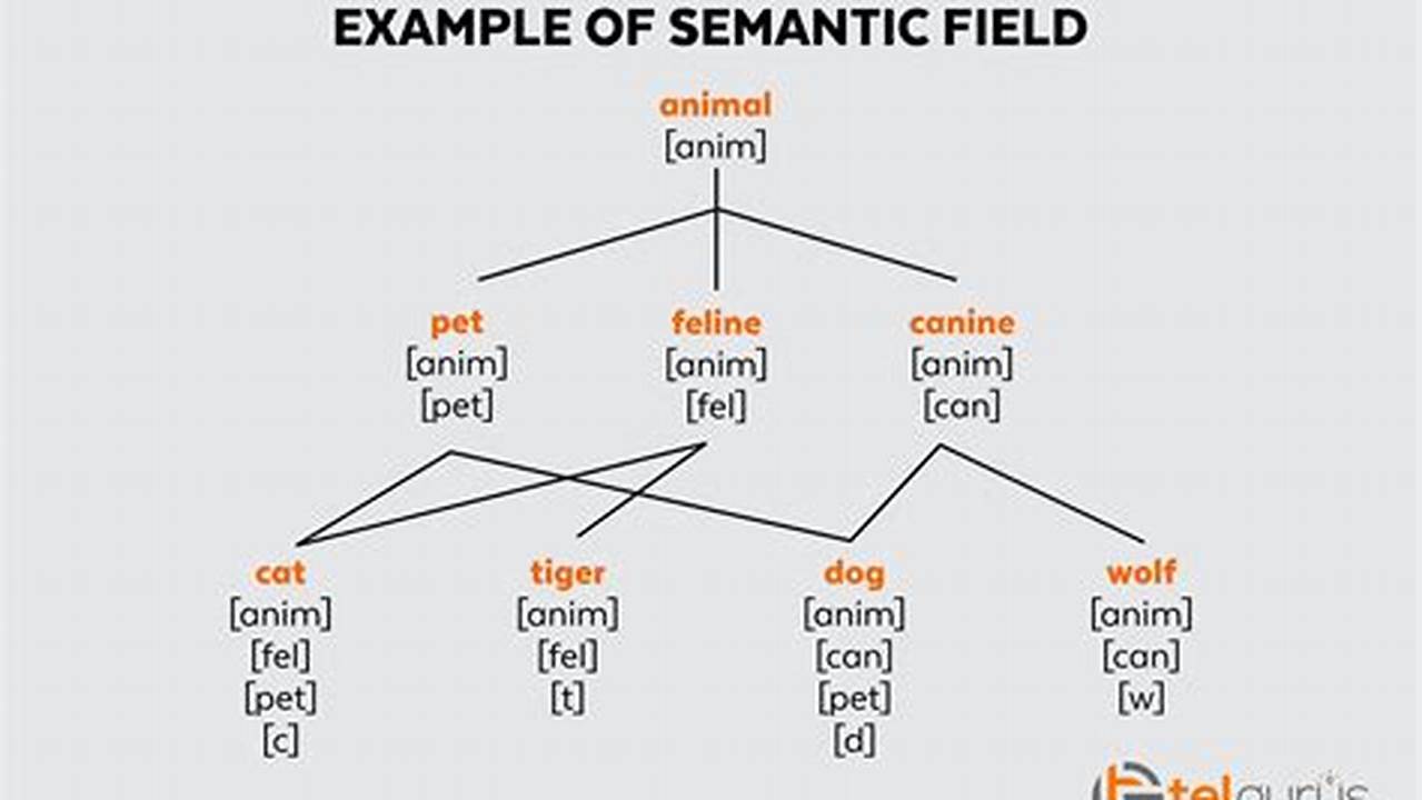 Semantic Fields, General