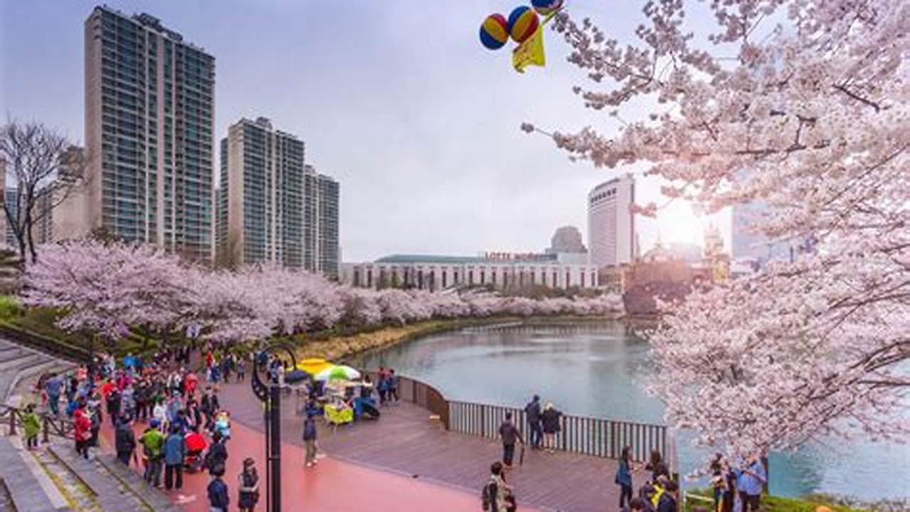 Seokchon Lake Cherry Blossom Festival, Seoul., 2024