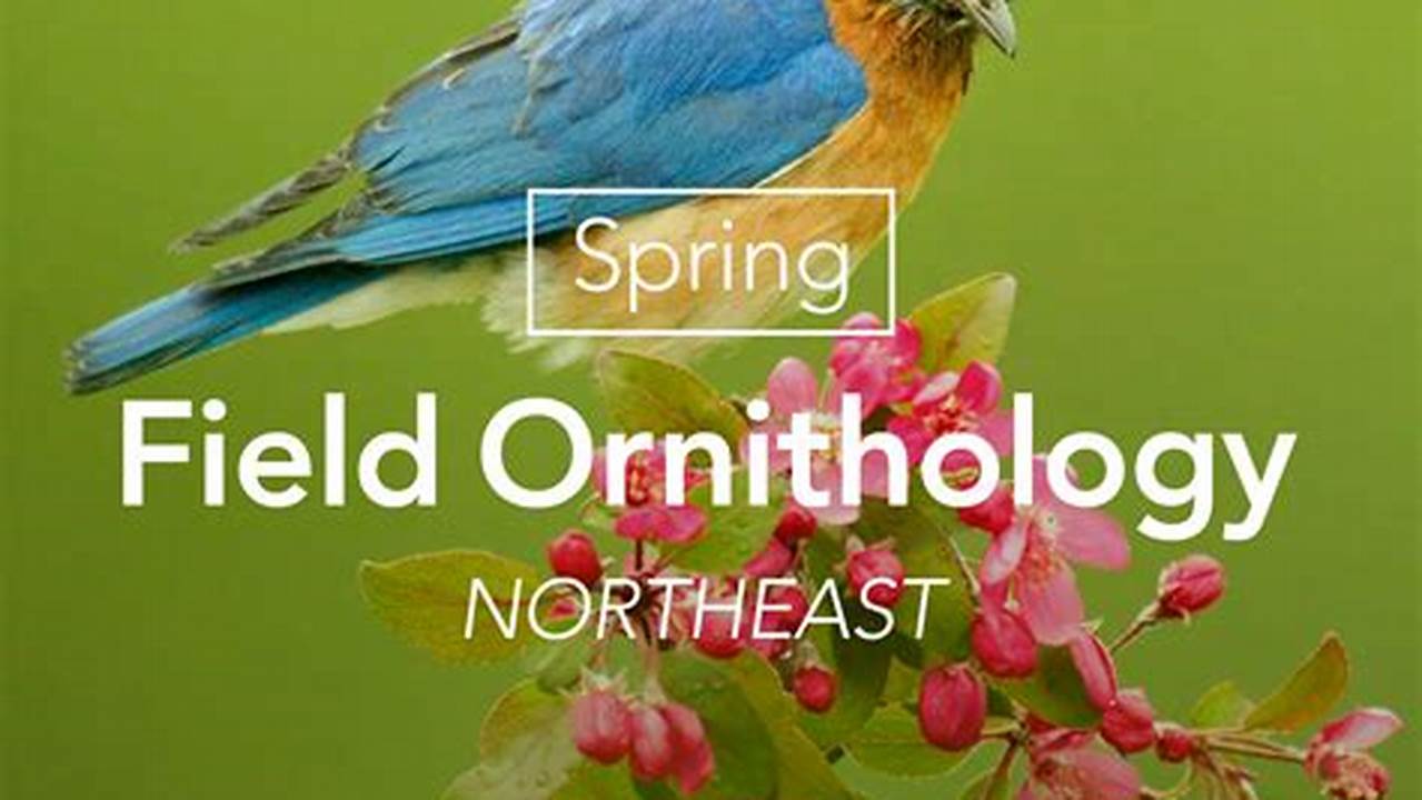 Several Cornell Lab Of Ornithology Services Will Be Unavailable Beginning March 19 Through 6, 2024