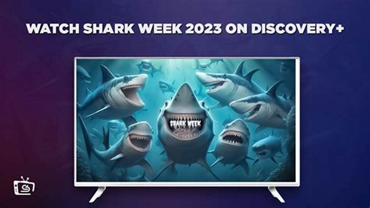Shark Week 2024 Discovery Plus