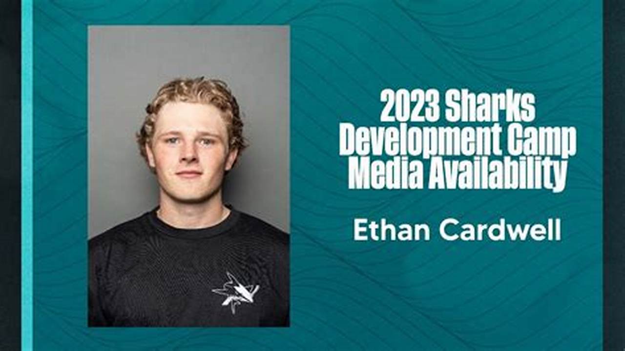 Sharks Development Camp 2024
