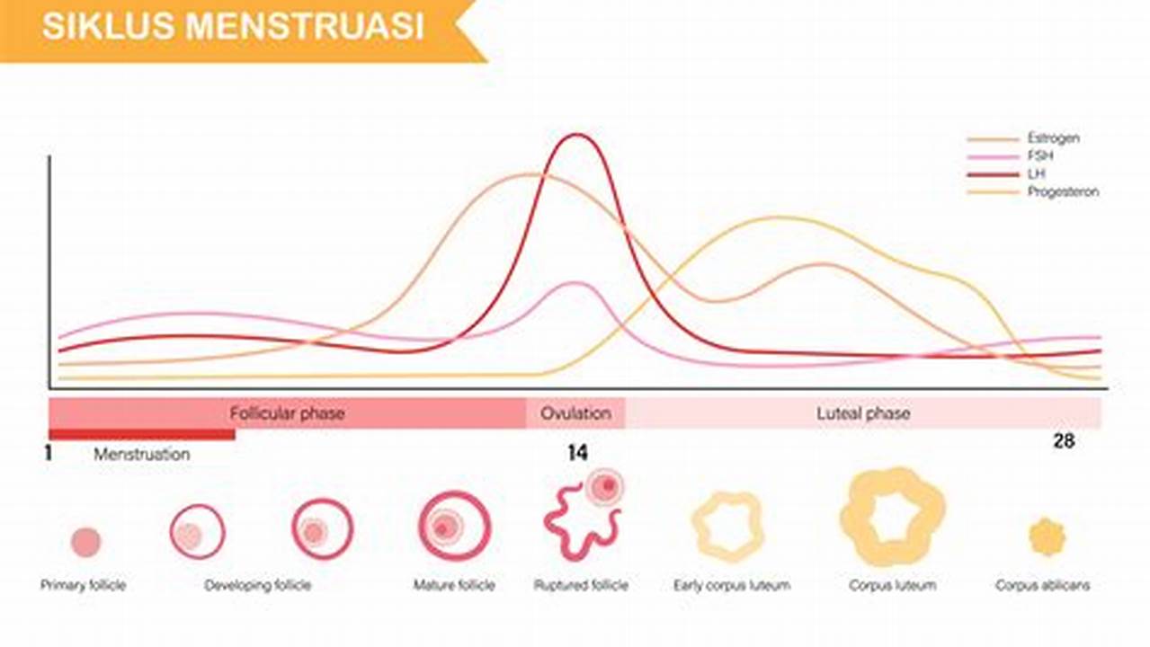 Siklus Menstruasi, Resep7-10k