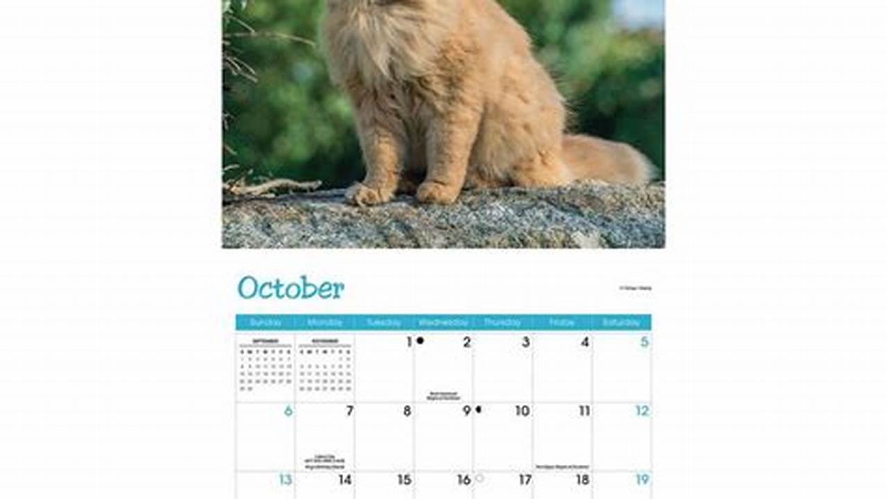 Small Cat Calendar 2024