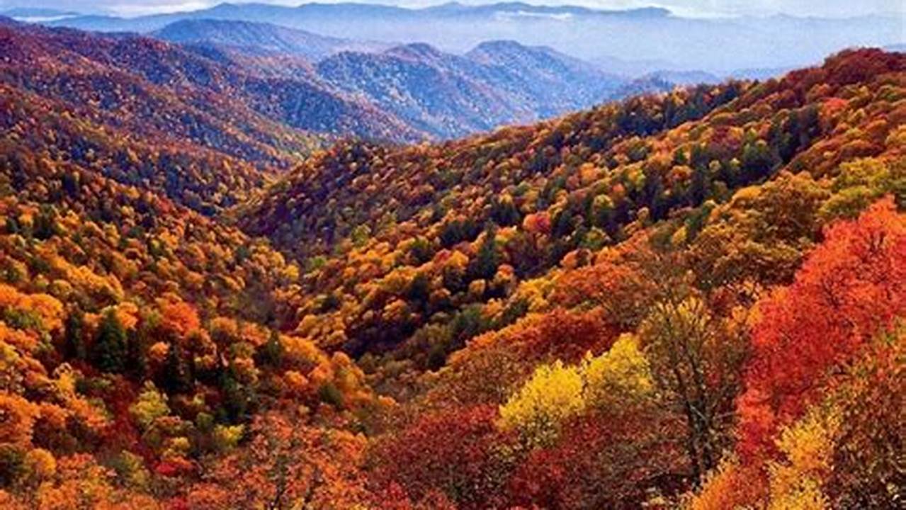 Smoky Mountain Fall Foliage 2024