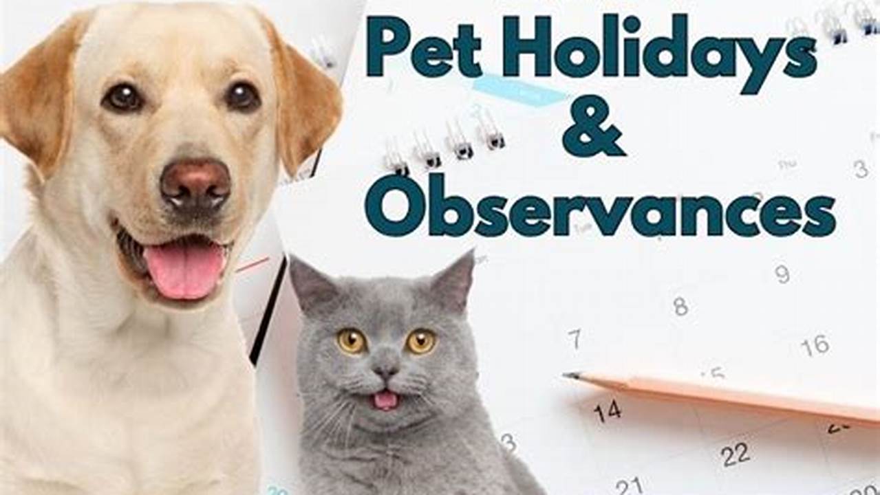 So This November 2024 Includes A Sweet Pet Holiday Celebrating Senior Dogs And Cats, 2024
