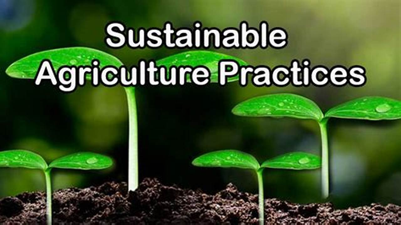 Social Responsibility, Farming Practices