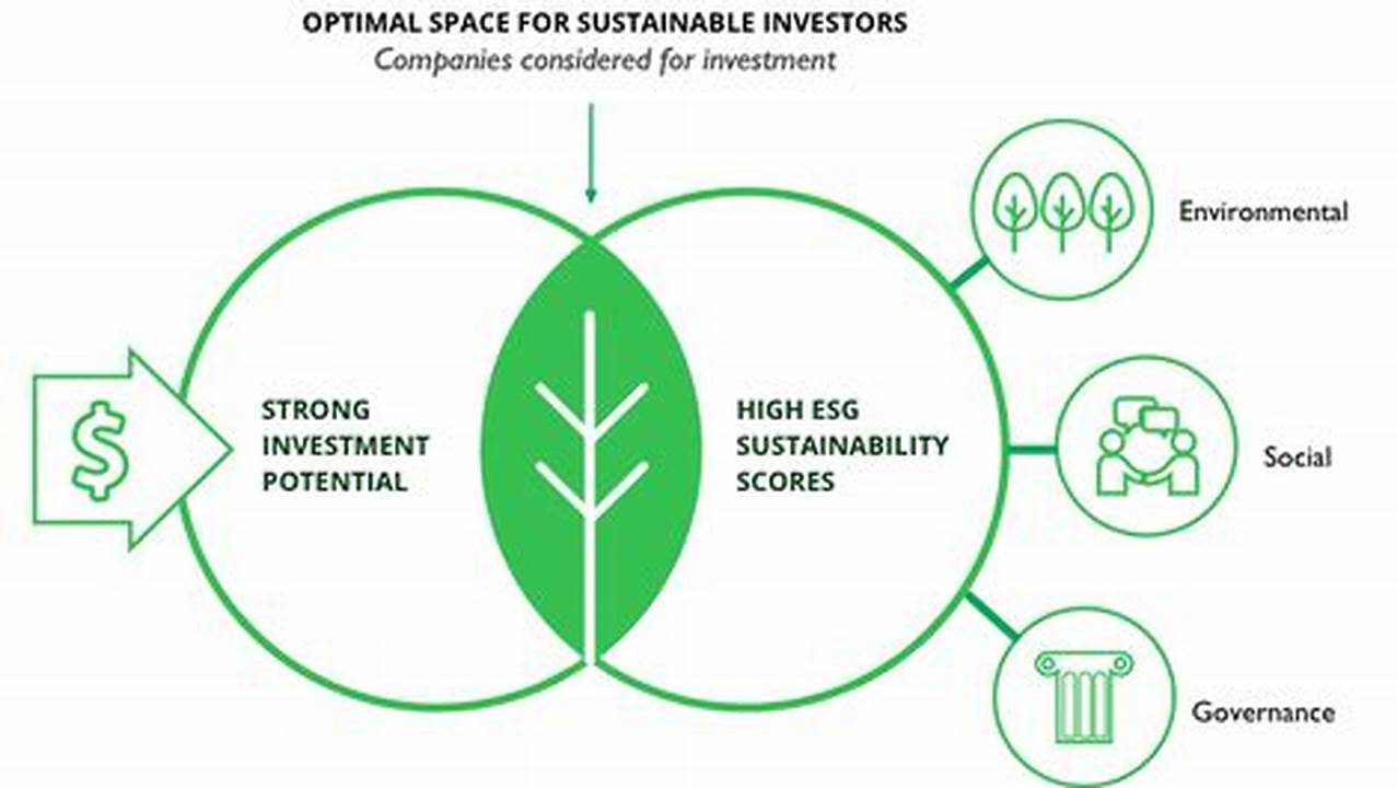 Socially Responsible Investing Firm Seeking Intern For Summer Of 2024., 2024