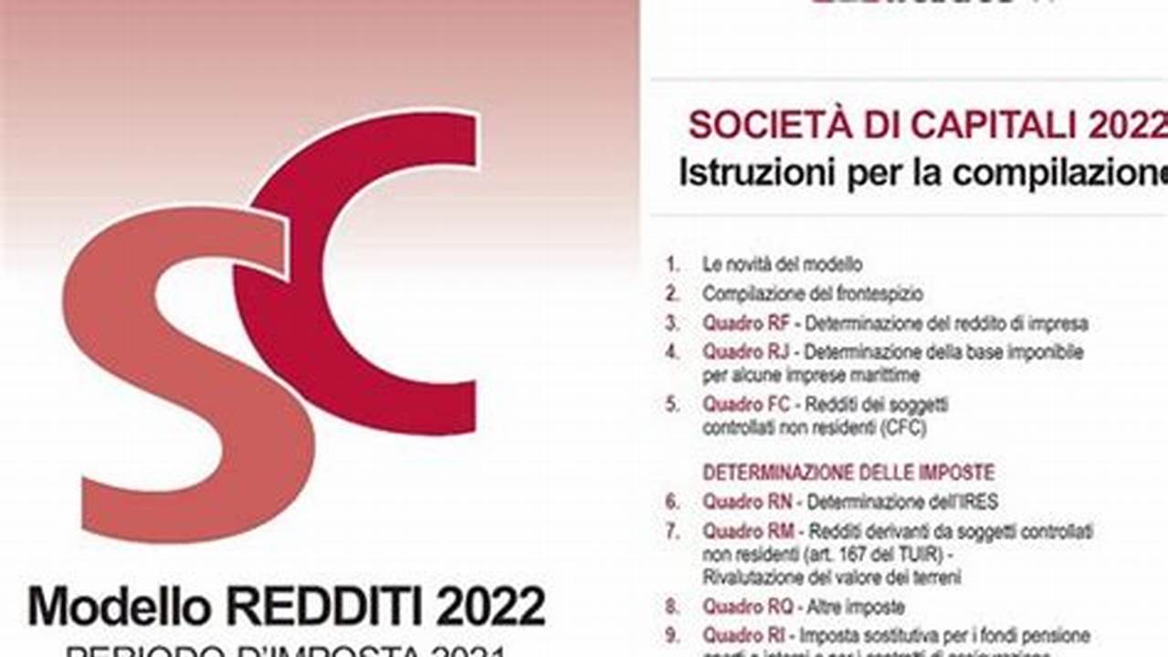 Società Di Capitali, IT Modello