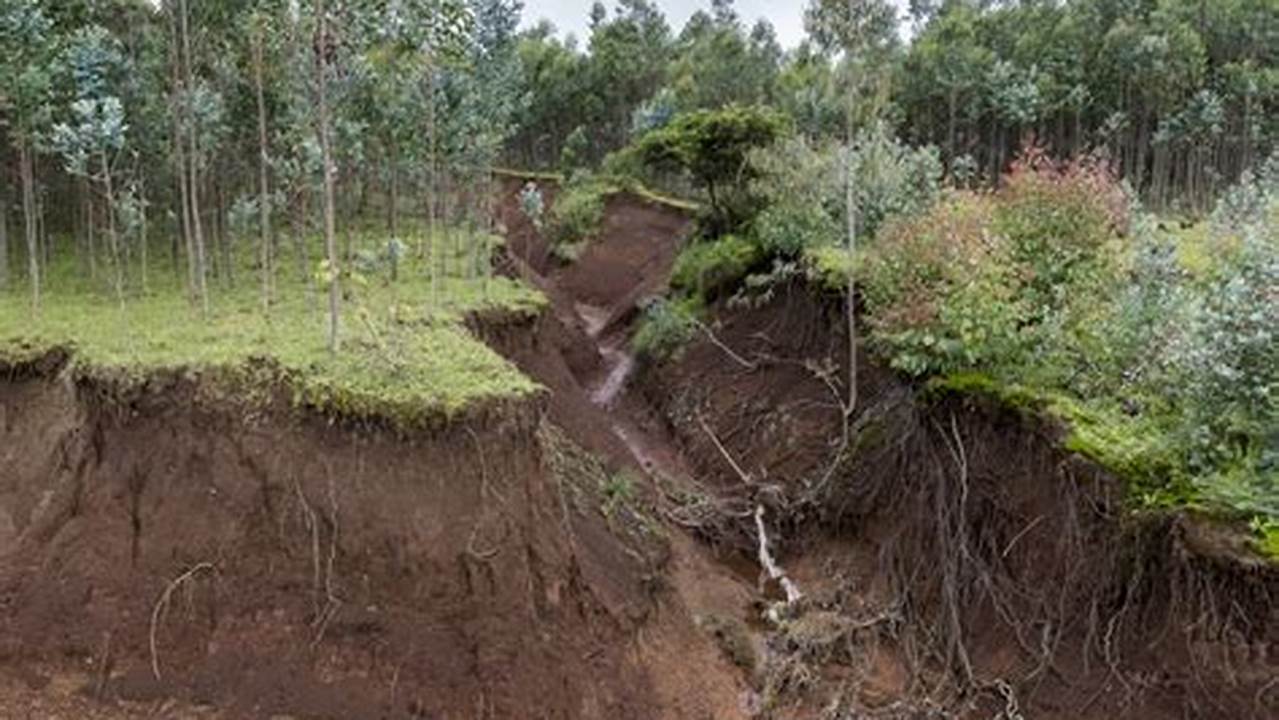 Soil Erosion, Reforestation