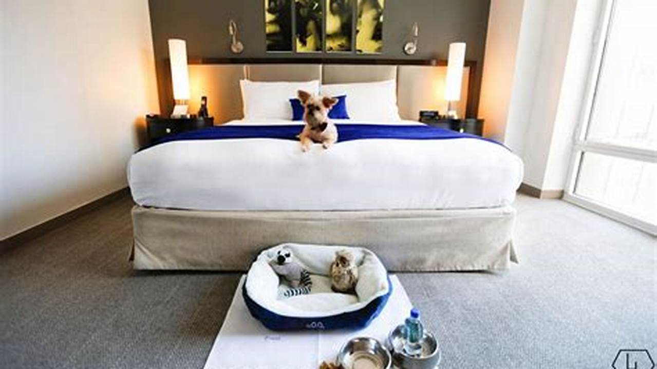 Some Hotels Offer Pet Amenities Such As Beds, Bowls, And Treats, Which Can Be A Nice Convenience., Pet Friendly Hotel