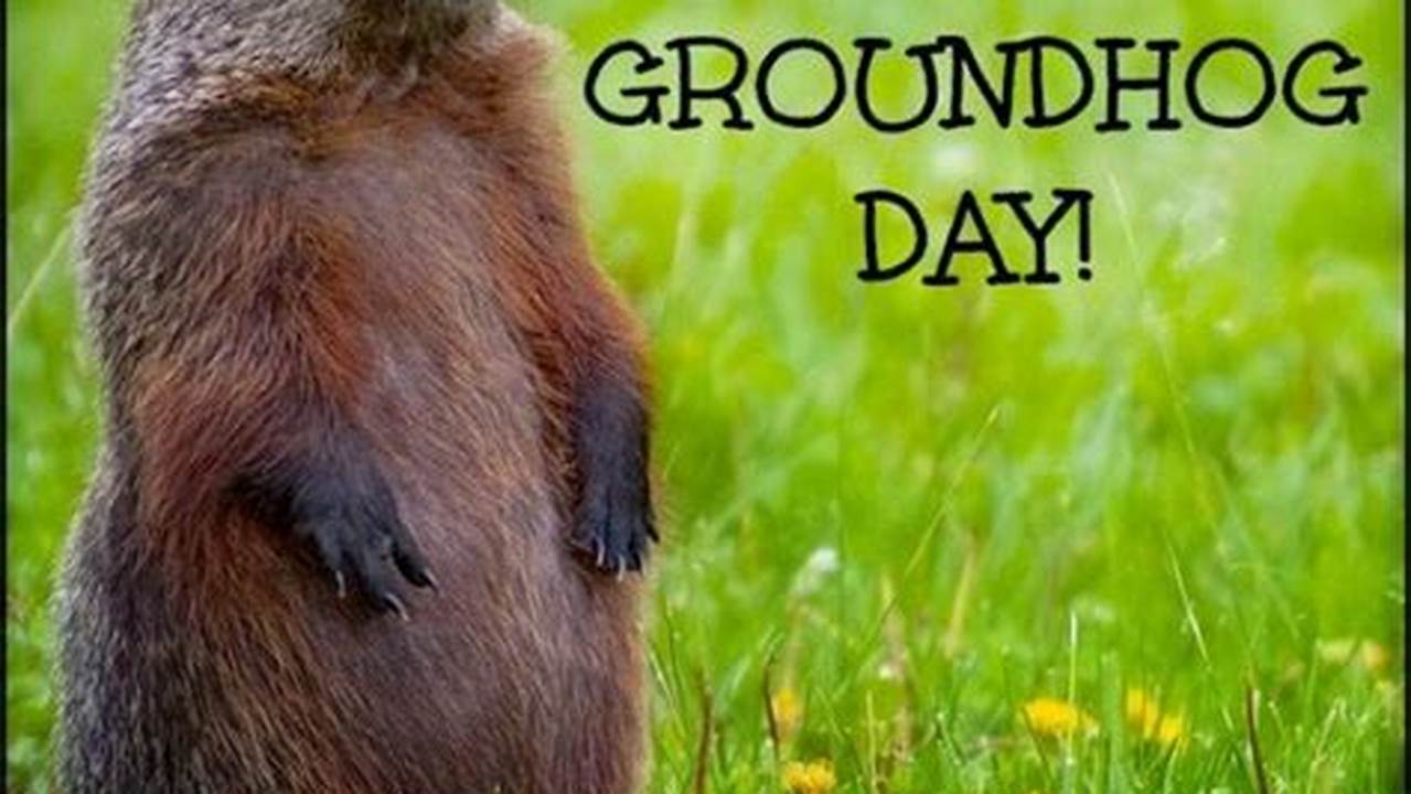 Southern Groundhog Day 2024