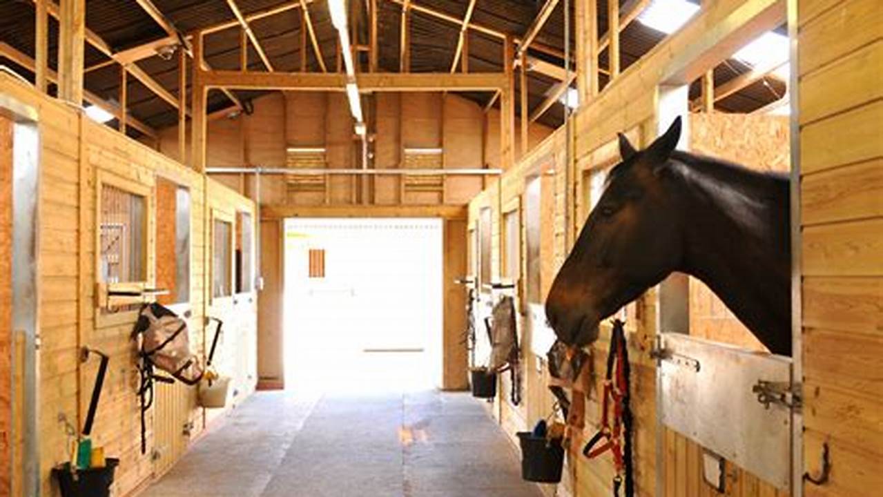 Spacious Stables, DIY Farm