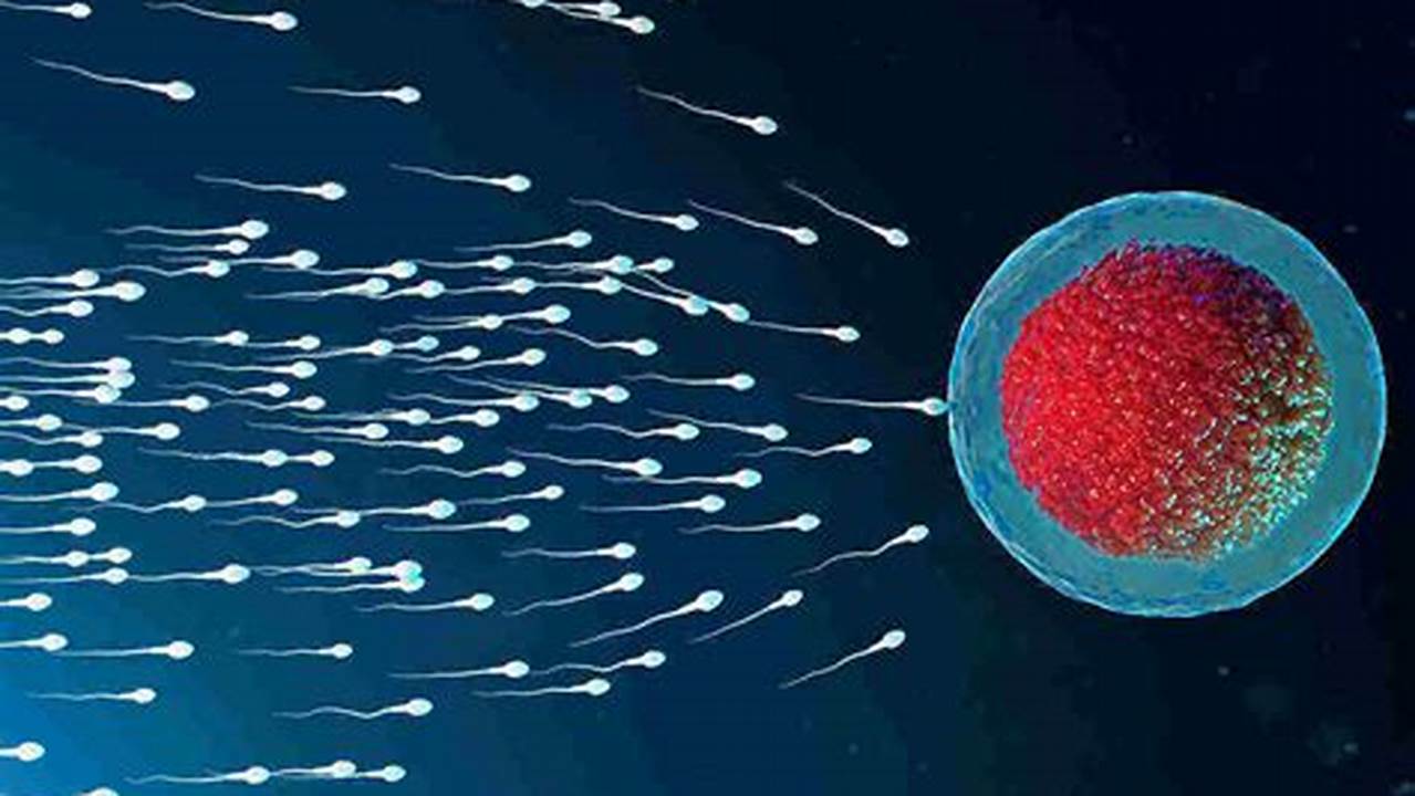 Sperma Mengandung Nutrisi Dan Hormon Yang Bermanfaat Bagi Kesehatan Perempuan., Manfaat