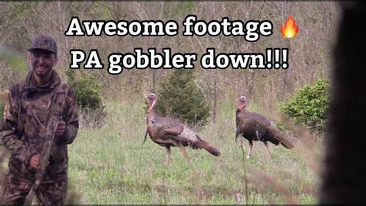 Spring Gobbler Pa 2024