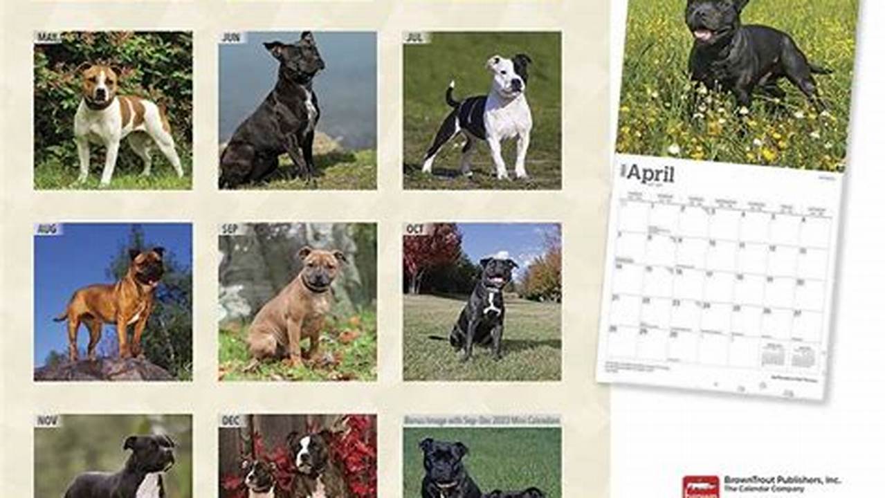 Staffordshire Bull Terrier Calendar 2024