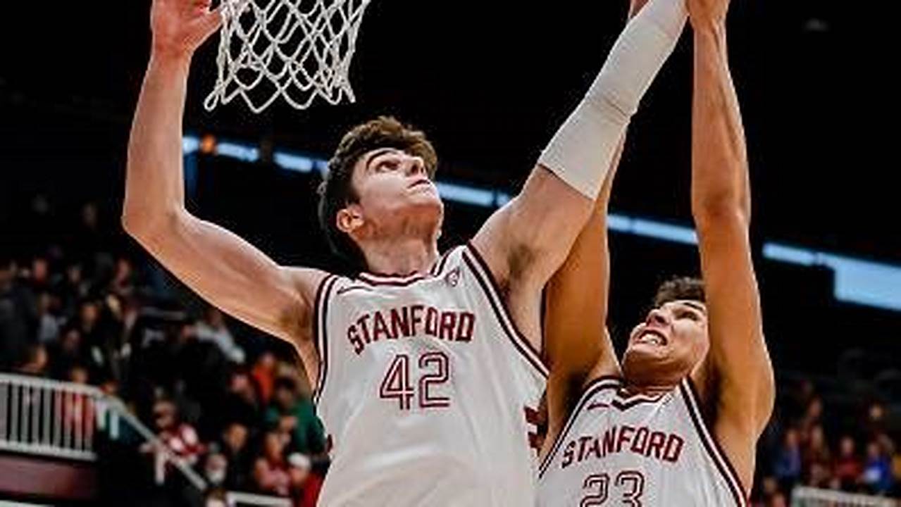 Stanford Transfer 2024