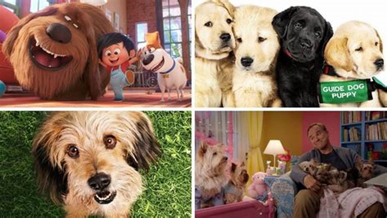 Stream 20 Best Dog Movies On Netflix That Will Make Your Day., 2024