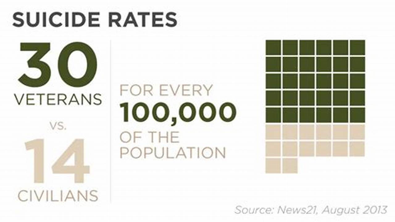 Suicides In Virginia 2024