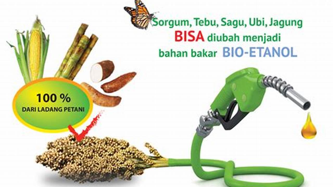 Sumber Bahan Bakar, Manfaat