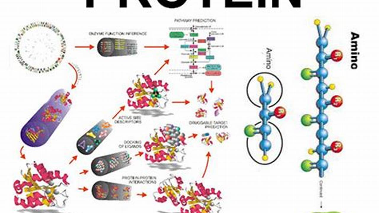 Sumber Protein (membangun Jaringan Tubuh), Resep