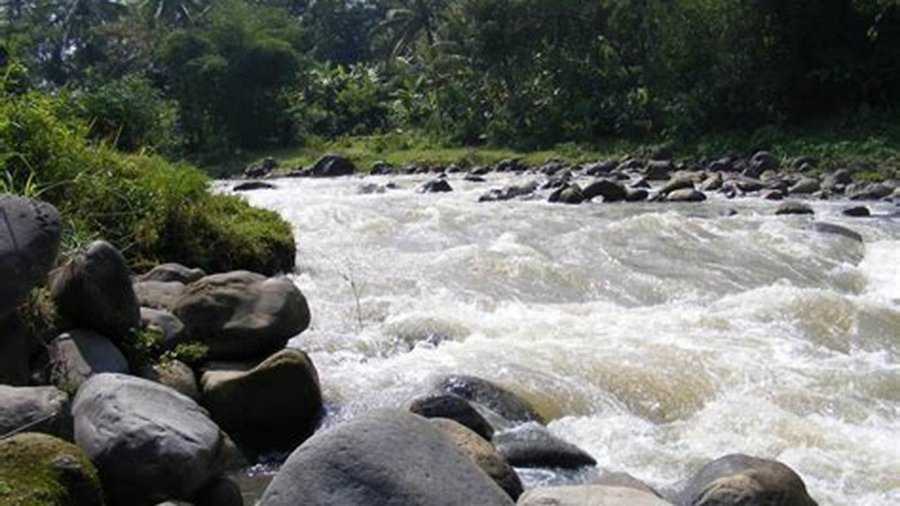 Sungai Ubangi Merupakan Sumber Makanan Dan Air Minum., Sungai Terpanjang