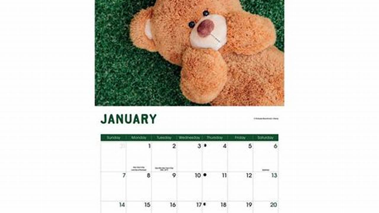 Teddy Bear Show 2024 Calendar