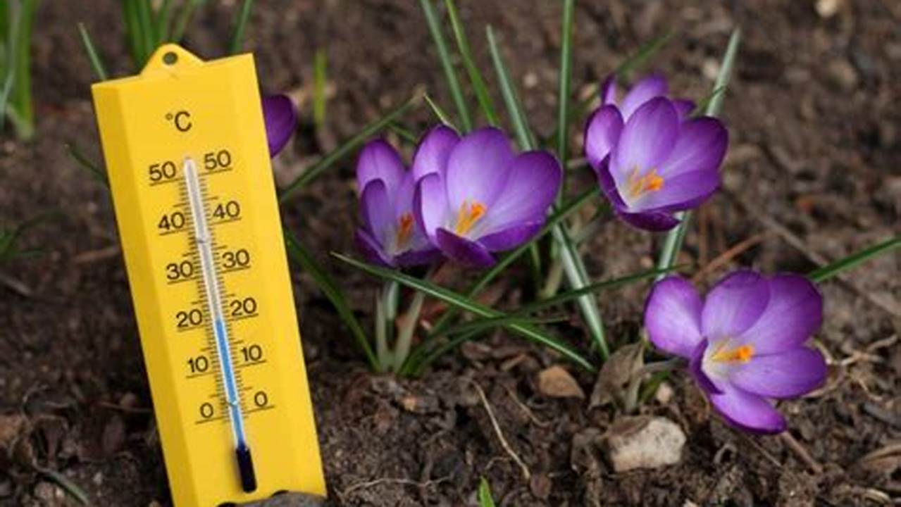 Temperatura, Plantas