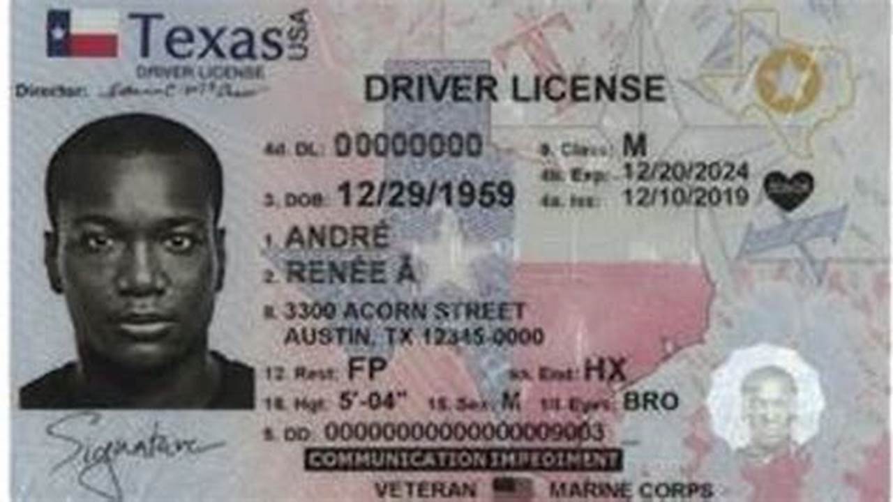 Texas Drivers License 2024