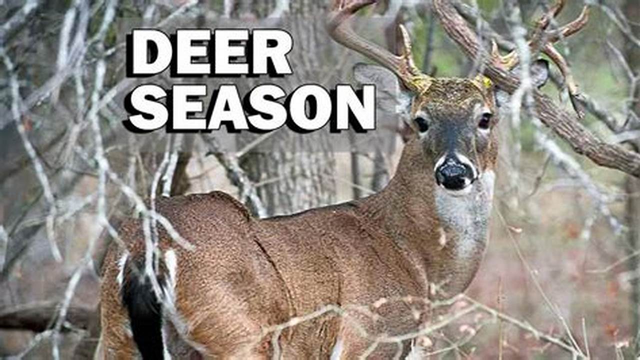 Texas Hunting Season 2024