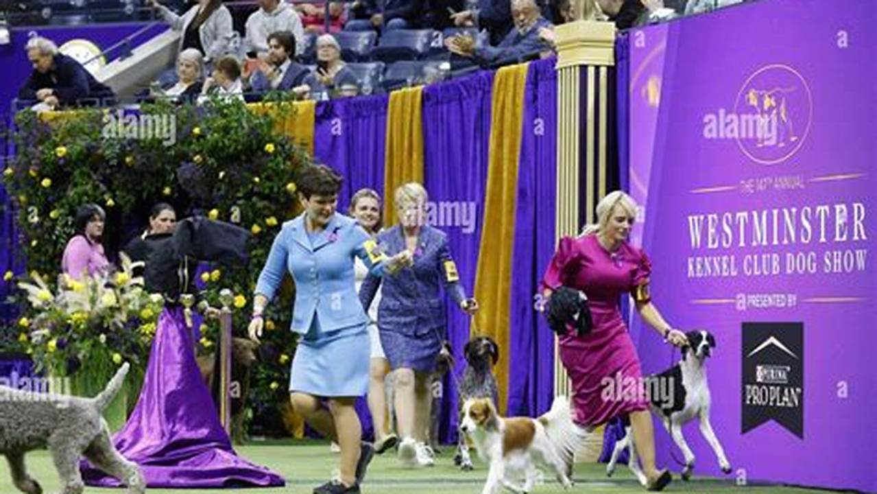 The 147Th Wkcd Show Was Sponsored By Purina And Opened Its Doors To 2,500 Gifted Dogs And Over 200 Breeds., 2024