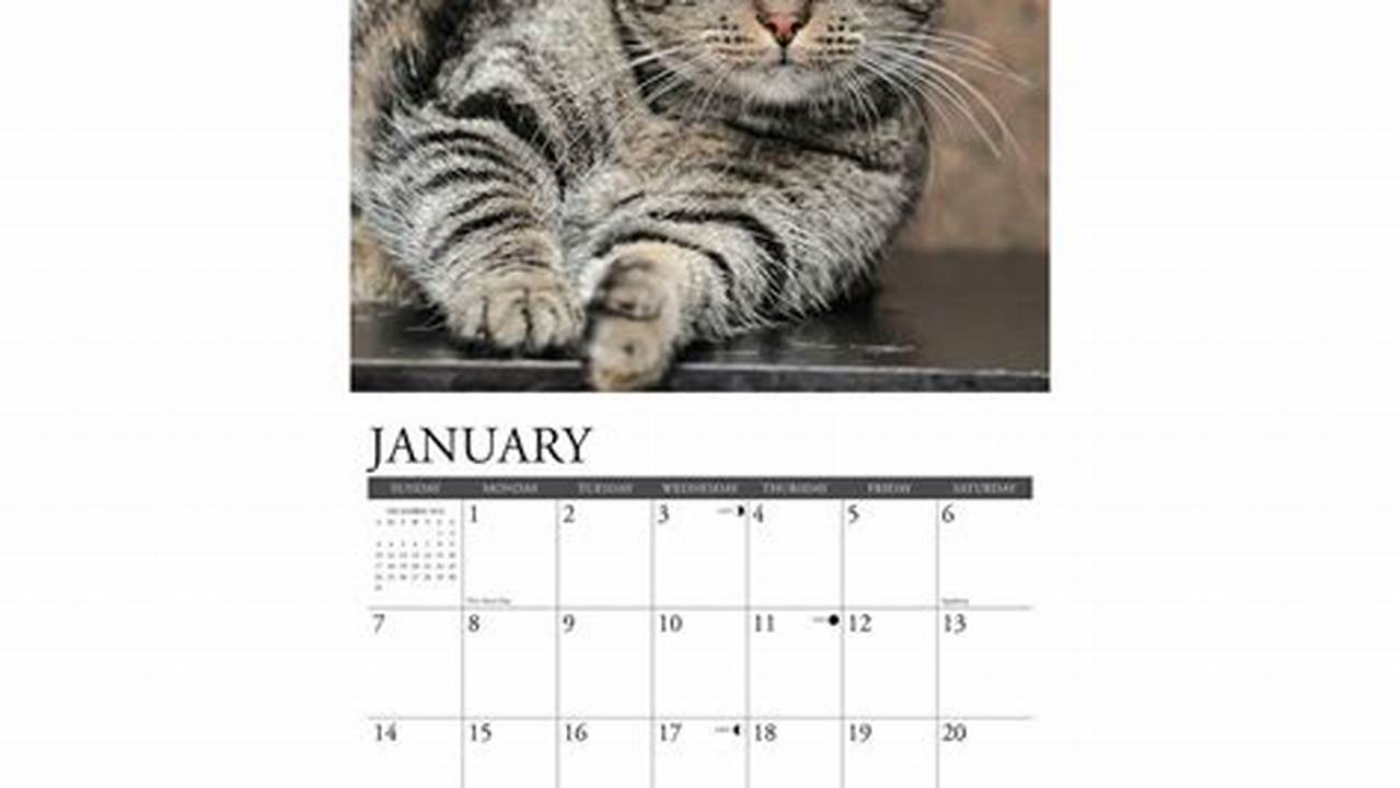 The 2024 Cranky Cats Calendar., 2024