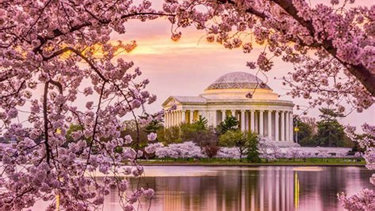 The 2024 Festival Will Fill Dc, Nova, And Maryland With Art, Music, And Thousands Of Pink Blossoms From March 20 Through April 14., 2024