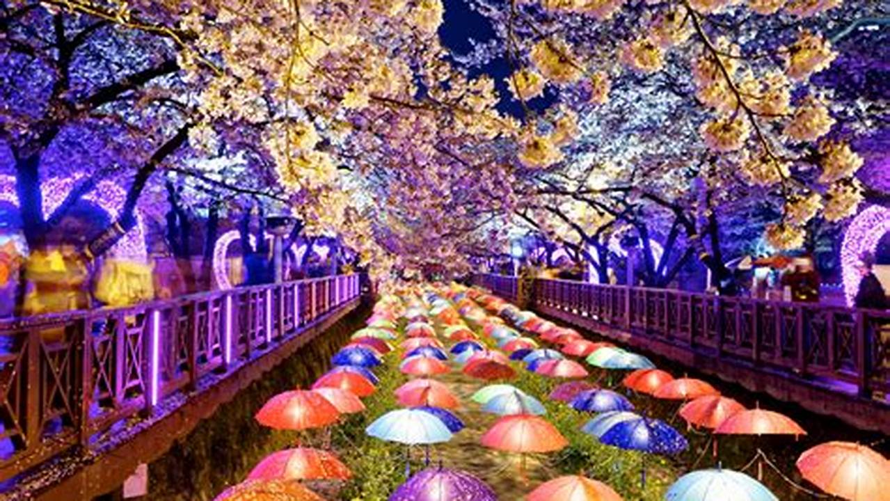 The 62Nd Jinhae Gunhang Cherry Blossom Festival., 2024