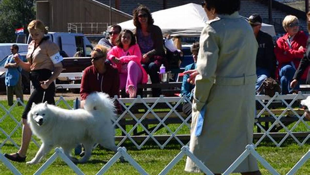 The Basic Purpose Of Dog Shows, Known As Conformation Events, Is To Facilitate The Evaluation Of Breeding Stock For Use By Responsible Breeders In Preserving And Producing The Next Generations Of Purebred Dogs., 2024