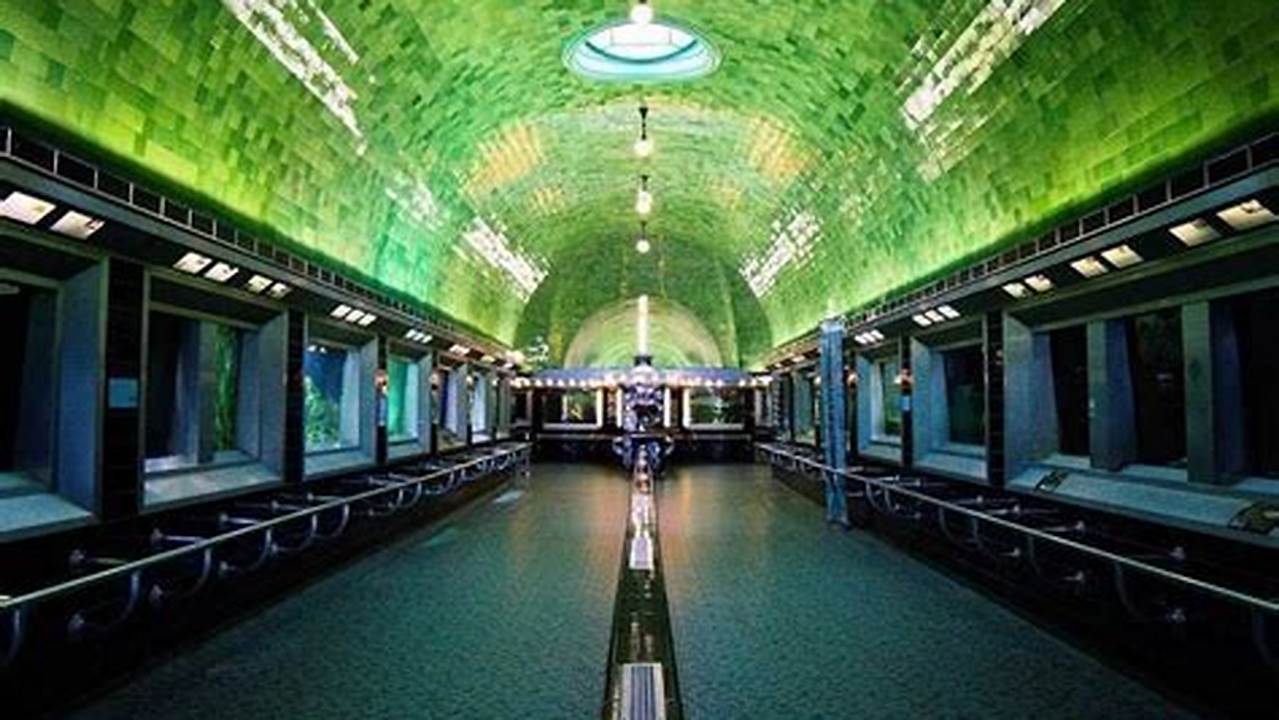 The Belle Isle Aquarium And Many More., 2024