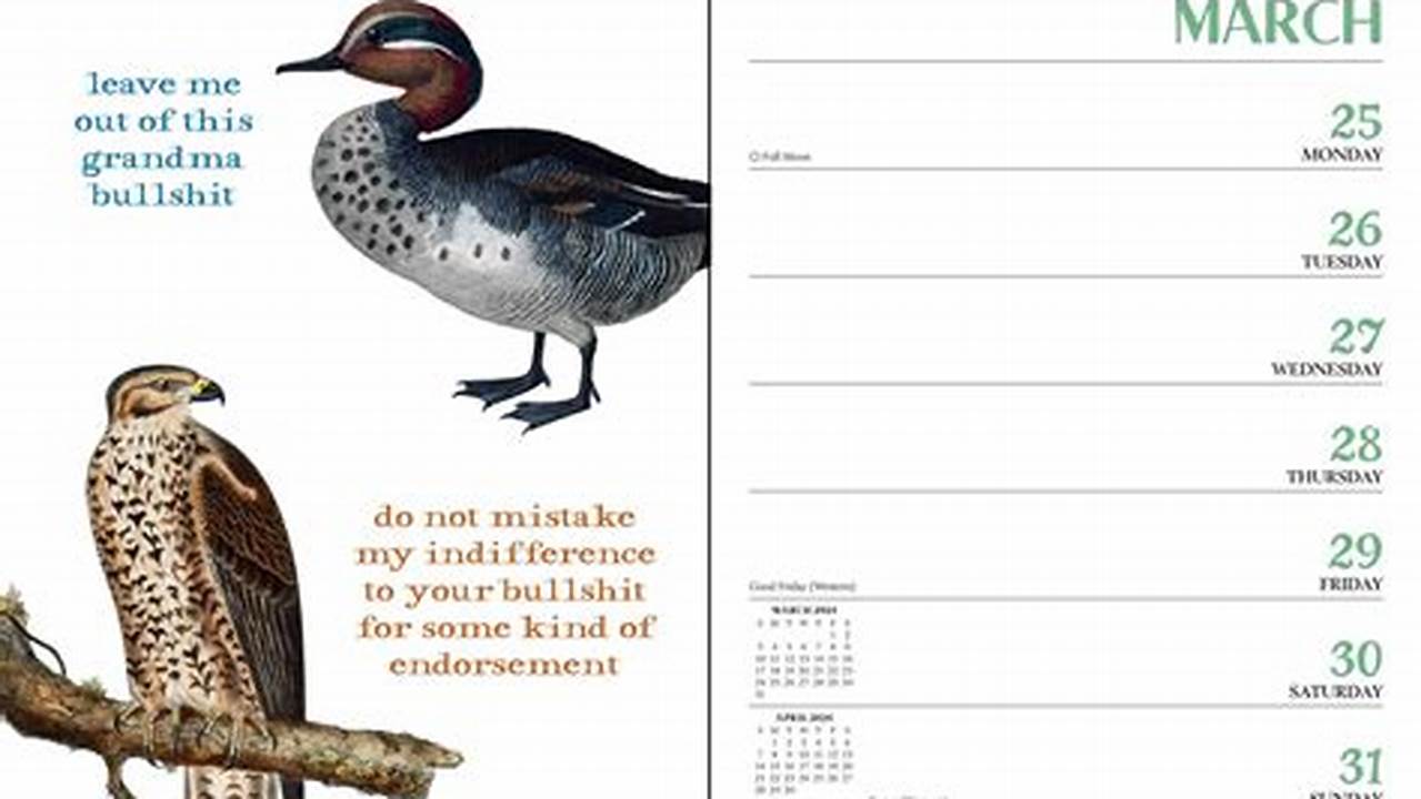The Blissful Birder Calendar 2024 Election