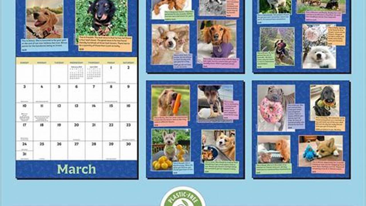 The Calendar Also Builds On Classic Storylines, Such As The Dog&#039;s Stuffed Fren Sebastian, The Skittle Under Fridge, And The Dog&#039;s Love For Their Human.features Include, 2024