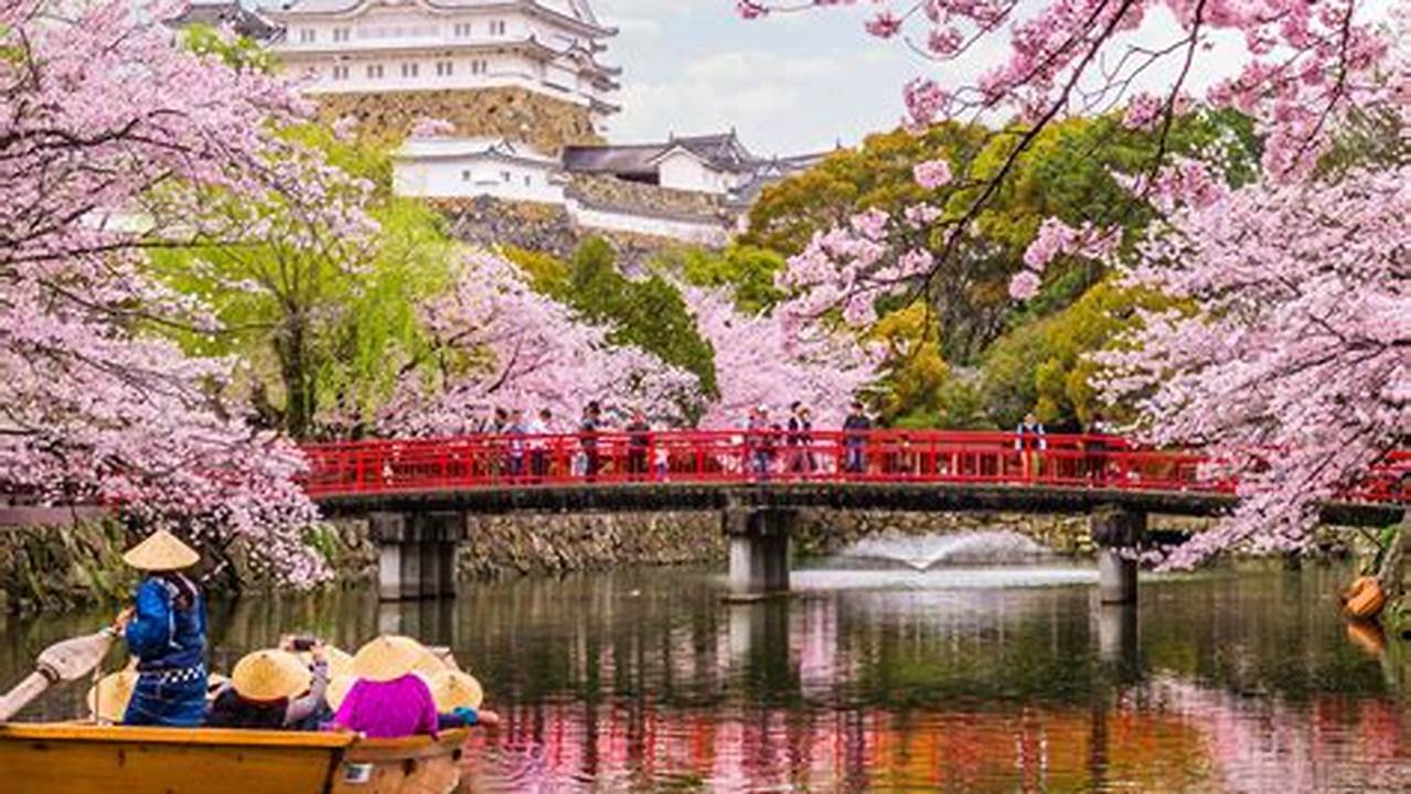 The Cherry Blossom Season In Japan Is A Favorite Time Of Year For Locals And International Travelers., 2024