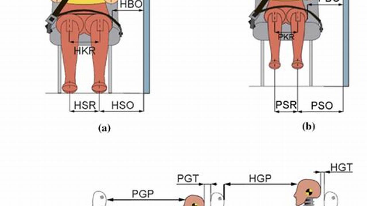 The Dummy&#039;s Position In Relation To The Door., 2024