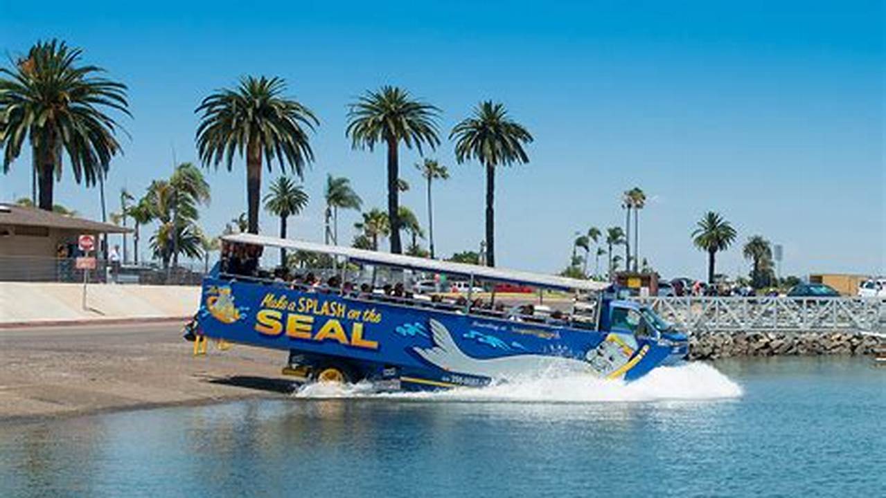 The Exciting San Diego Seal Tours Take A Fascinating Turn And Drive Straight Into The San Diego Bay For The Second Half Of Your Adventure!, Images