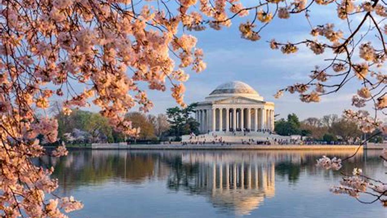 The Famed Cherry Blossoms At The Tidal Basin In Washington Reached Peak Bloom Sunday, After A Spell Of Unseasonably Warm Weather., 2024