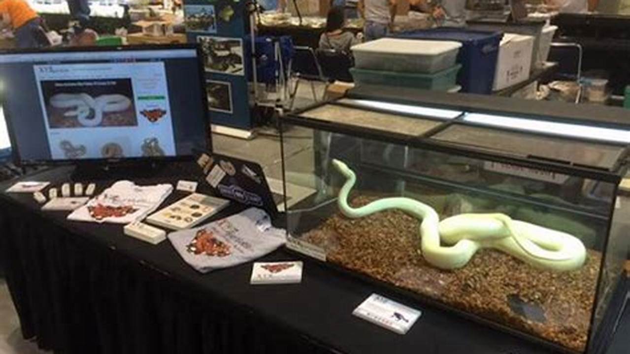 The Largest Reptile Expo In Texas Is Coming To San Antonio In 2023!, 2024