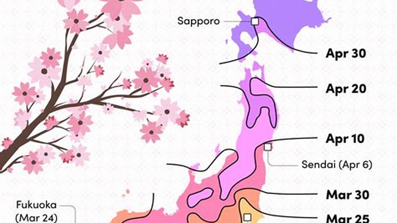 The Latest Blooming Dates For Tokyo, Osaka, Kyoto And Sapporo Suggest That Sakura Season Is Just Two Weeks., 2024