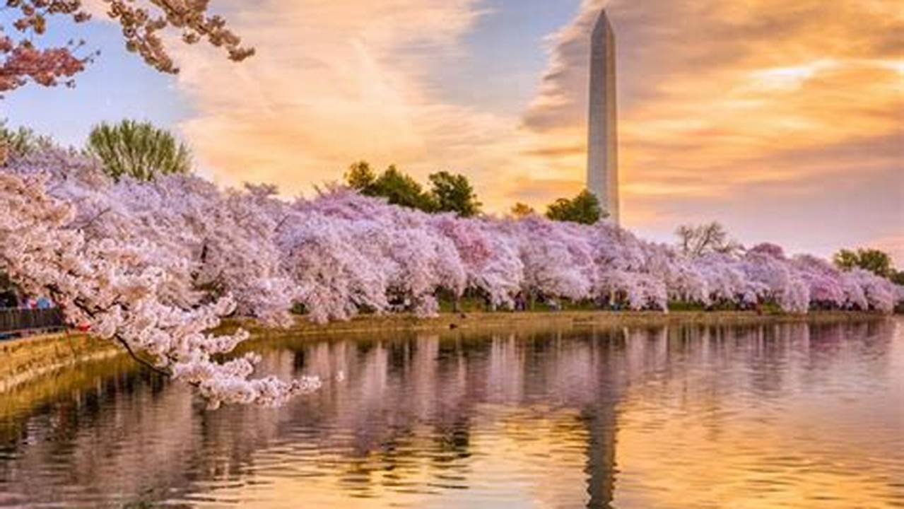 The National Cherry Blossom Festival In D.c., 2024