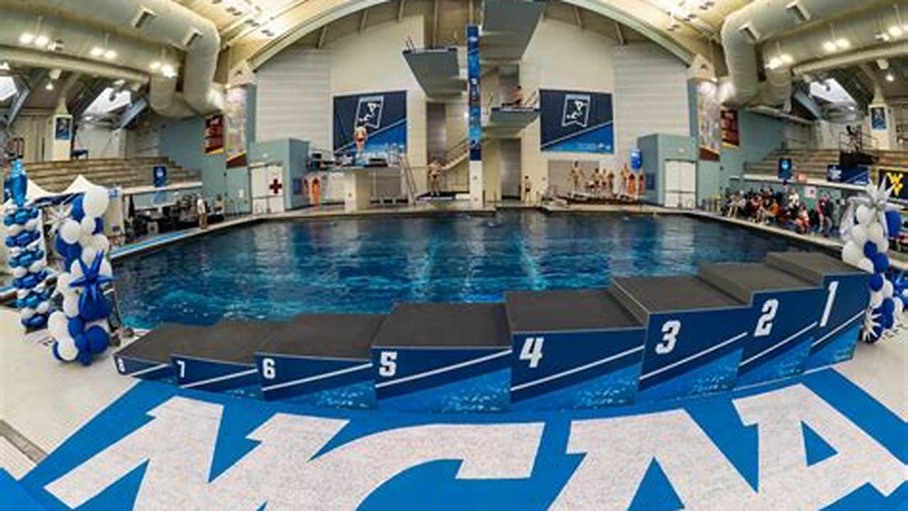 The Ncaa Has Published The Qualifying Standards For The 2024 Ncaa Division I Swimming &amp;Amp; Diving Championships, With The Majority Of Events Getting., 2024