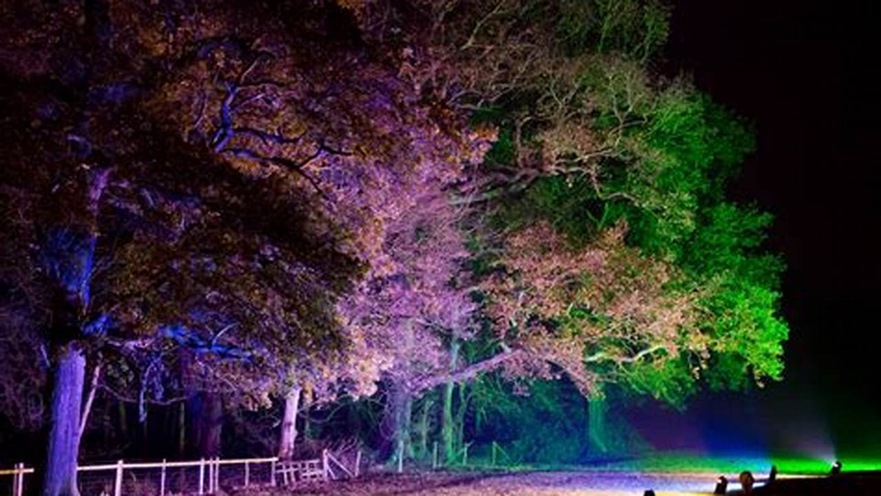 The Trees Are Illuminated At Night Until 10 P.m., 2024