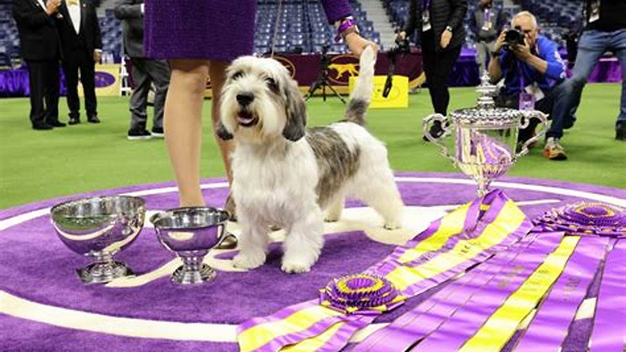 The Westminster Dog Show 2024 Winners Were Announced As The Top Dogs In Their Respective Categories., 2024