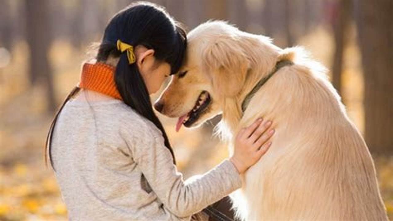These Movies Celebrate The Incredible Bond Between Humans And Dogs, Showcasing The Unconditional Love, Loyalty, And Joy That Our Furry Friends Bring Into Our Lives., 2024