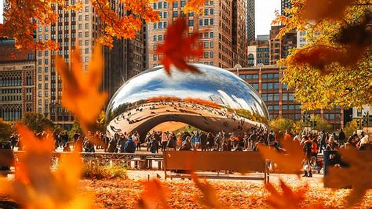 Things To Do In Chicago October 2024
