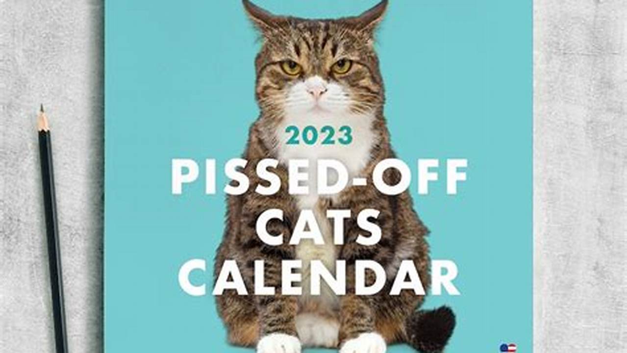 This 2024 Wall Calendar With Funny Cats Picture Is An Ideal, Special And Funny White Elephant Gifts For Your Friends And Family., 2024